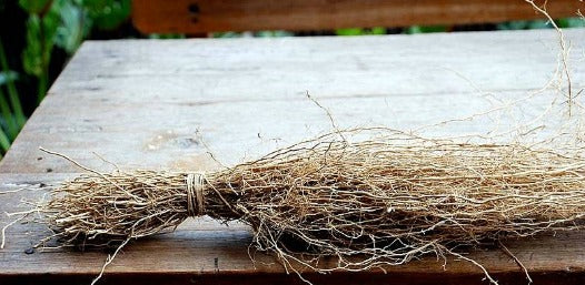 Vetiver, il profumo della terra