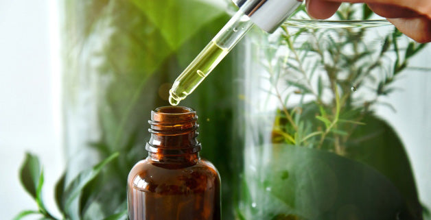 Tea Tree Oil: come usarlo?