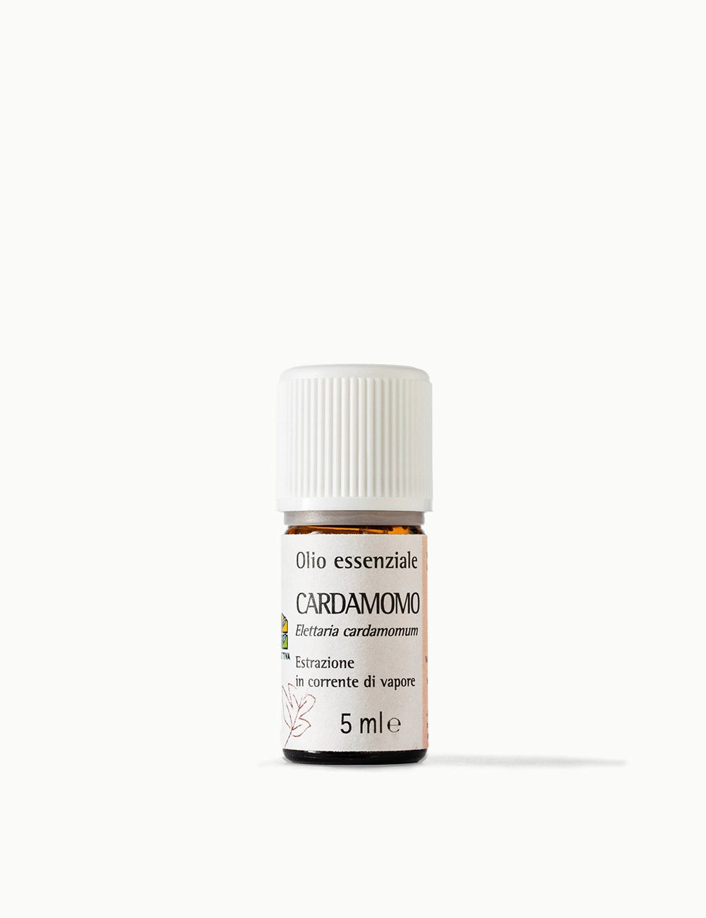 Olio Essenziale Cardamomo