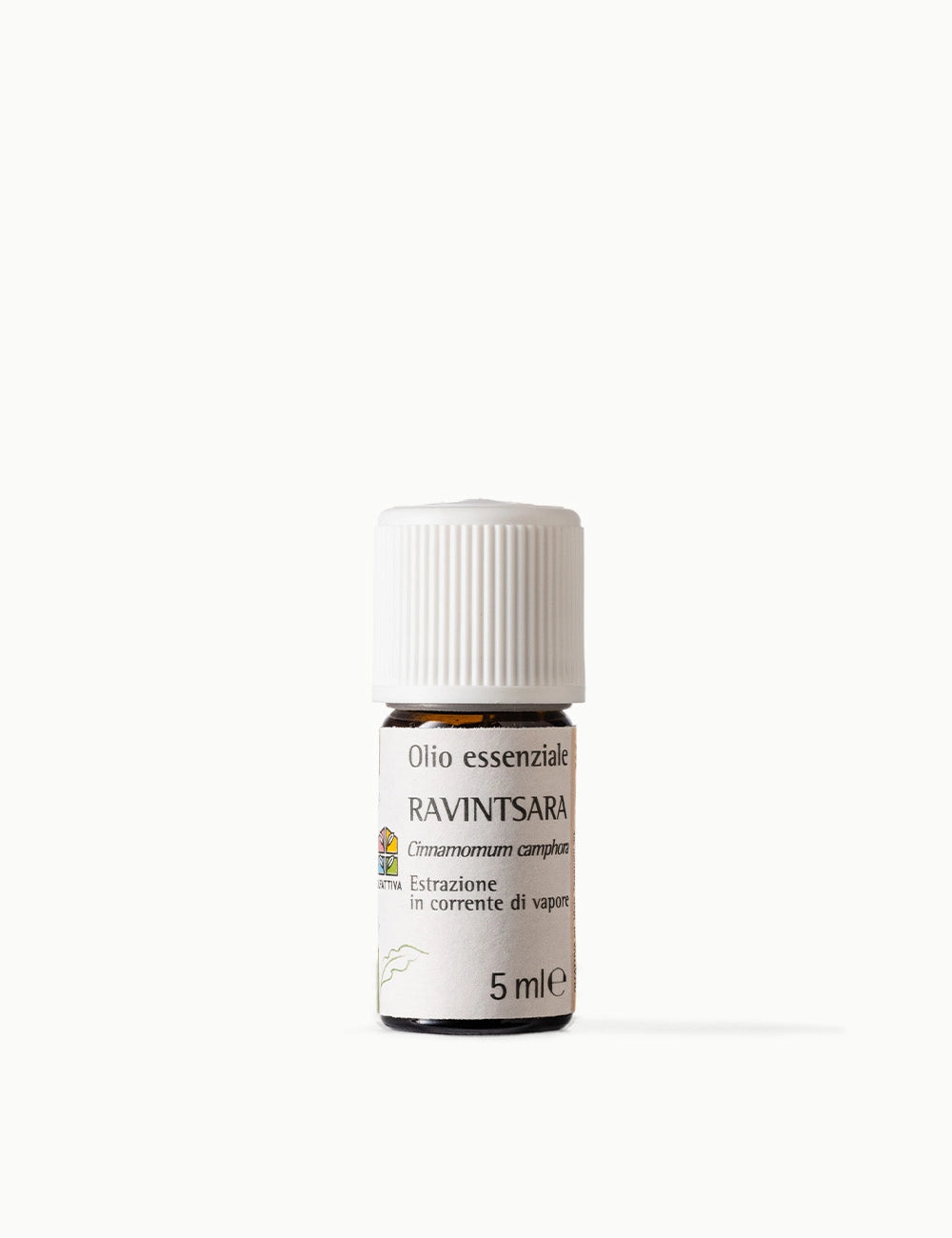 Olio Essenziale di Ravintsara