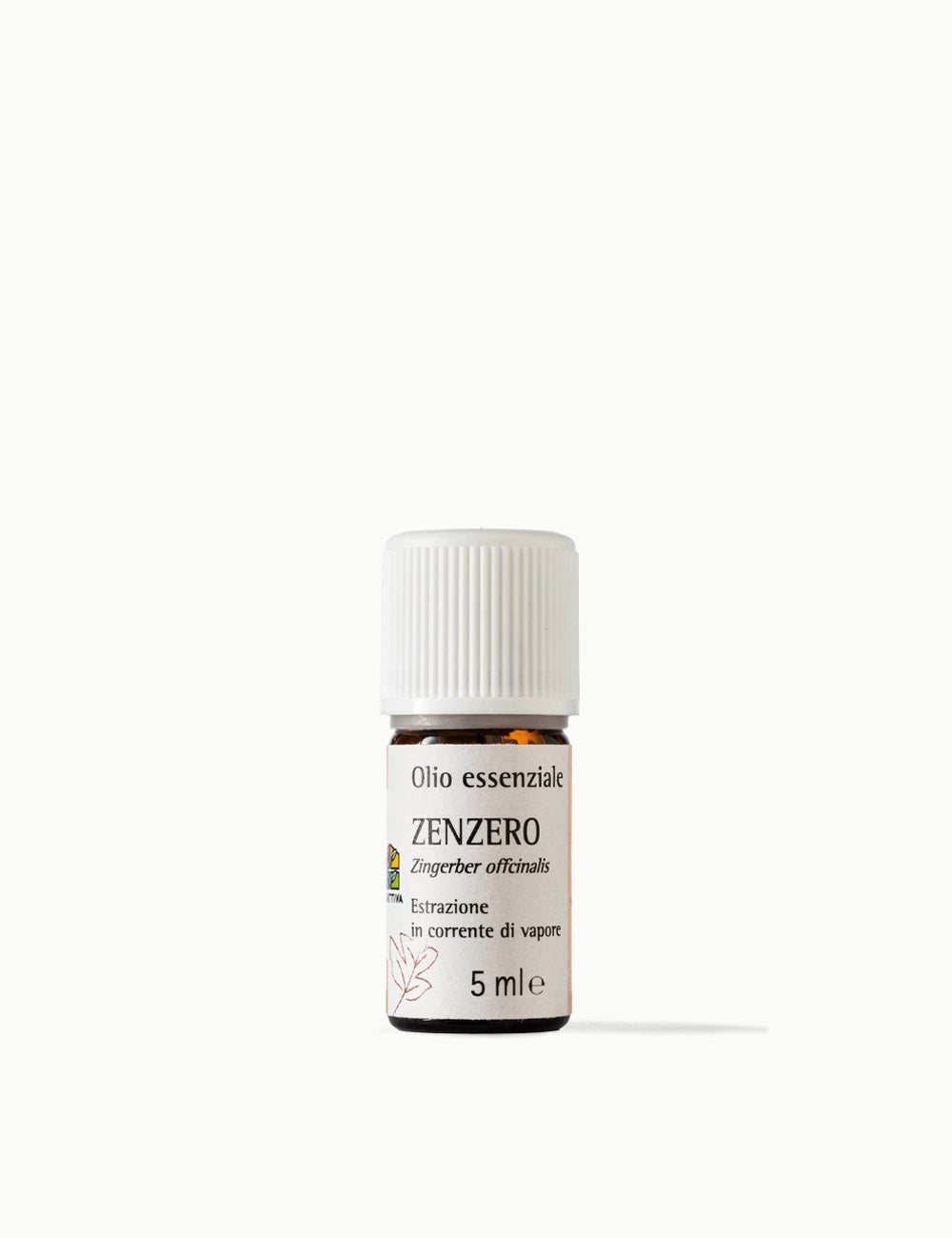 Olio Essenziale di Zenzero